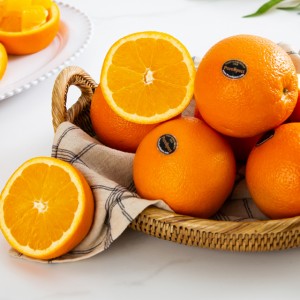 ǰ 